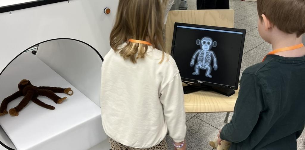 Teddybären Krankenhaus